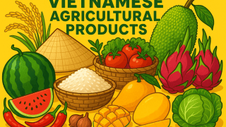 Vietnamese Agricultural Products & Snacks – Authentic Flavors For The World